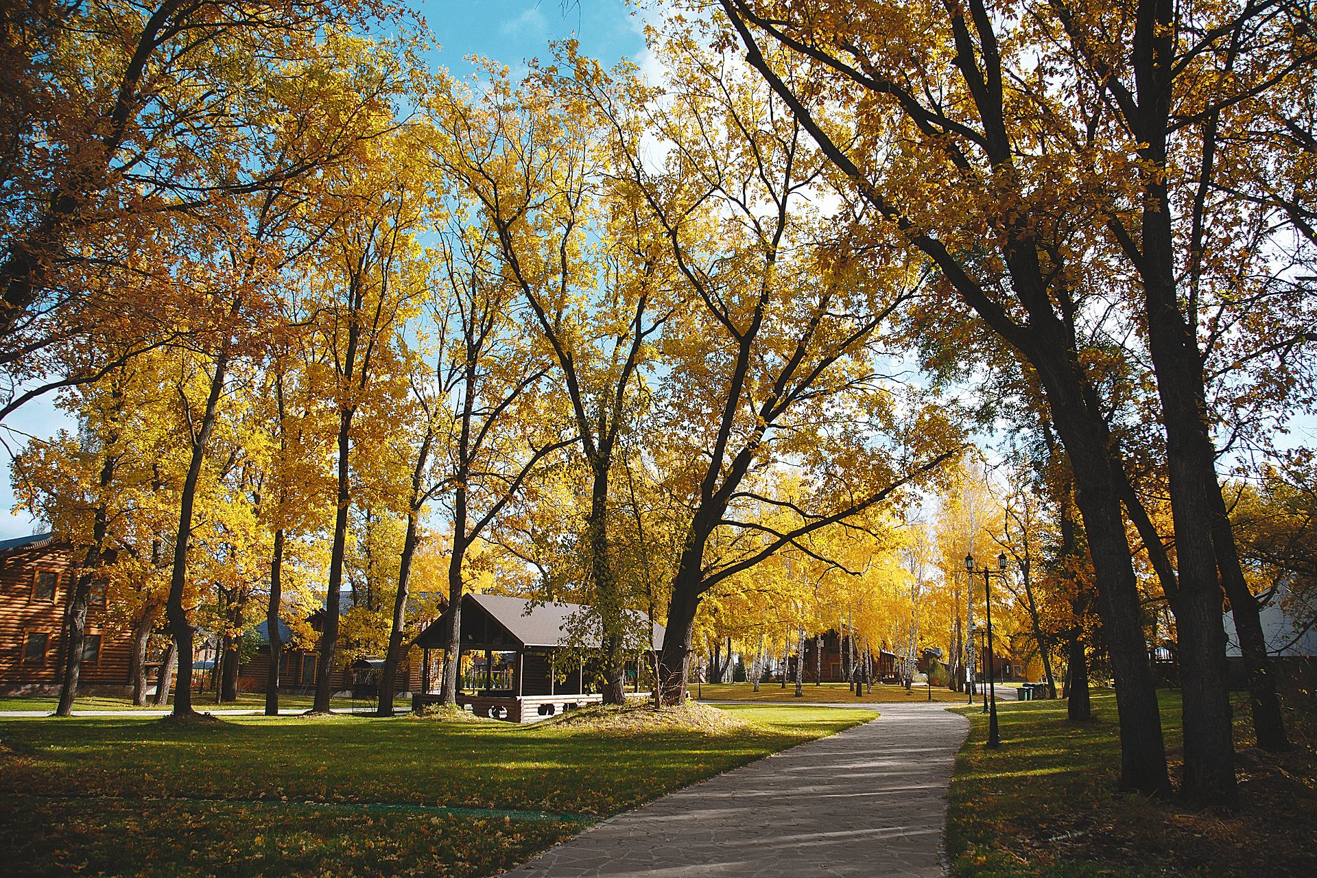 Сцена мероприятия