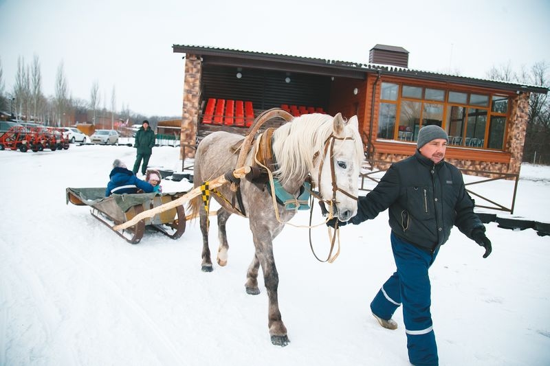 Новогодние Русские гулянья 2016 г.