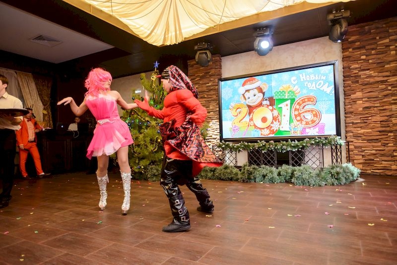 Продолжение Новогодней праздничной вечеринки 1 января 2016 г.