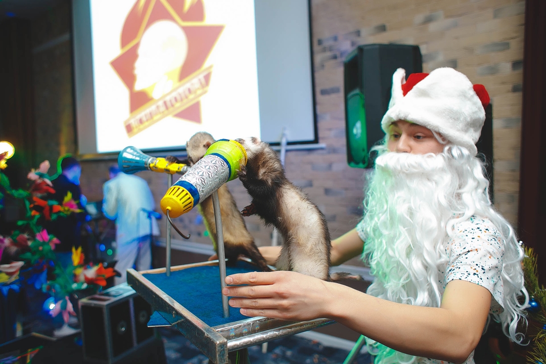 Новогодняя пионерская Зорька 2015