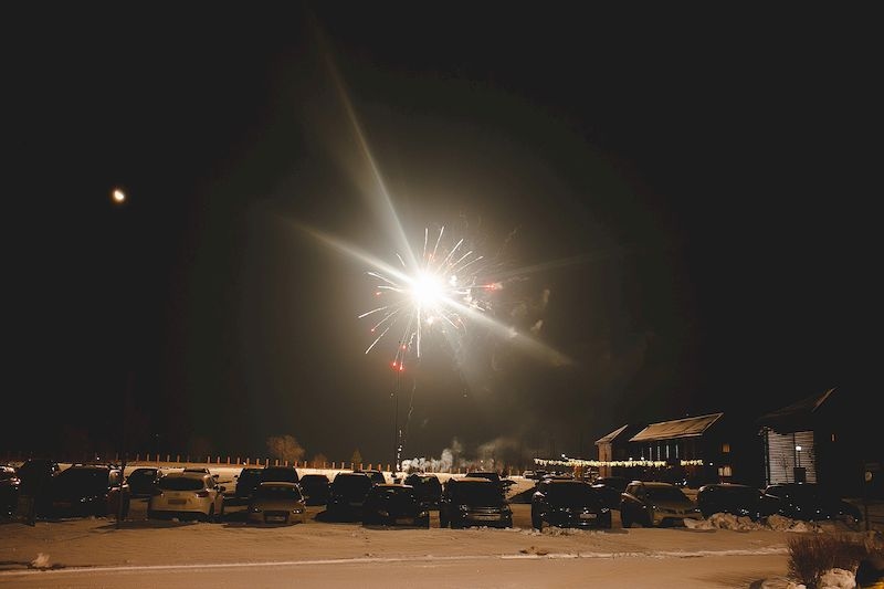 Новый год в стиле Огненной обезьяны 2016 г.