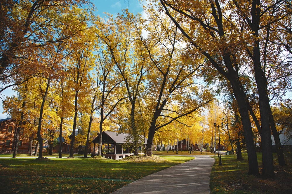 ЗОЛОТАЯ ОСЕНЬ В ВАСИЛЬЕВСКОМ ПО АКЦИИ УИКЕНД ДО 30 НОЯБРЯ 2020 Г. по акции «УИКЕНД В ВАСИЛЬЕВСКОМ»!